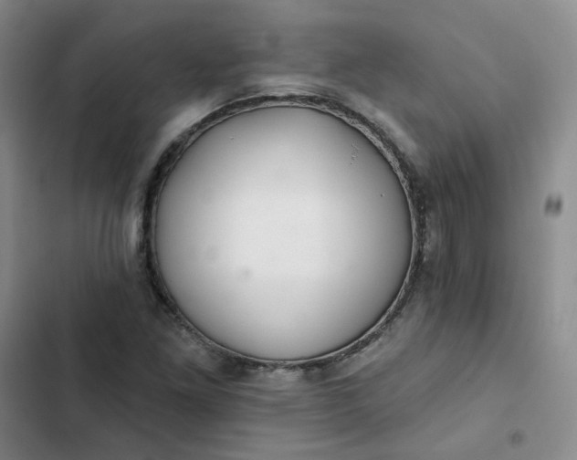 X0000102501261200808221745