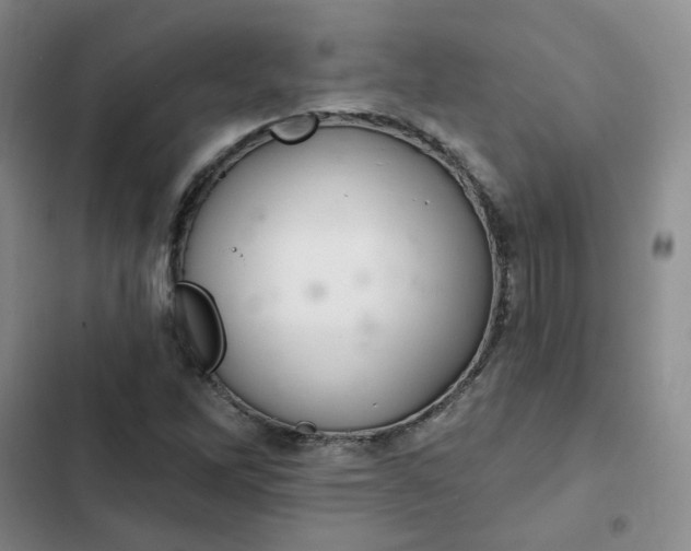 X0000102501262200808221745