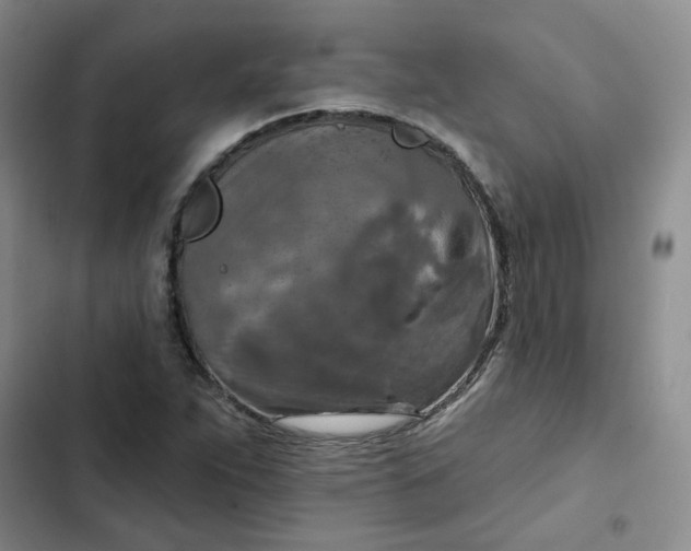 X0000102501263200808221745