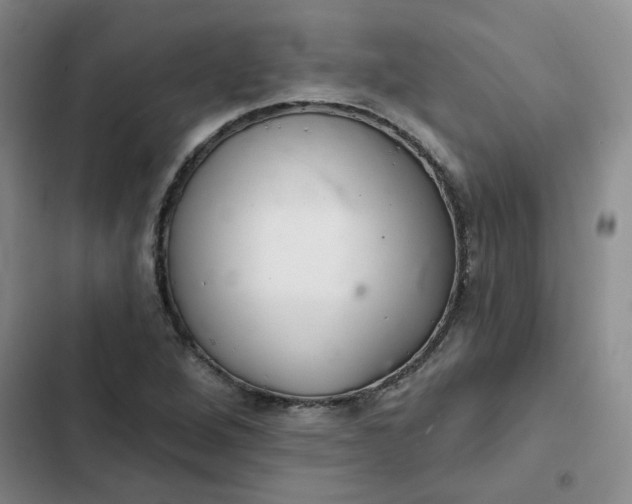 X0000102501264200808221745