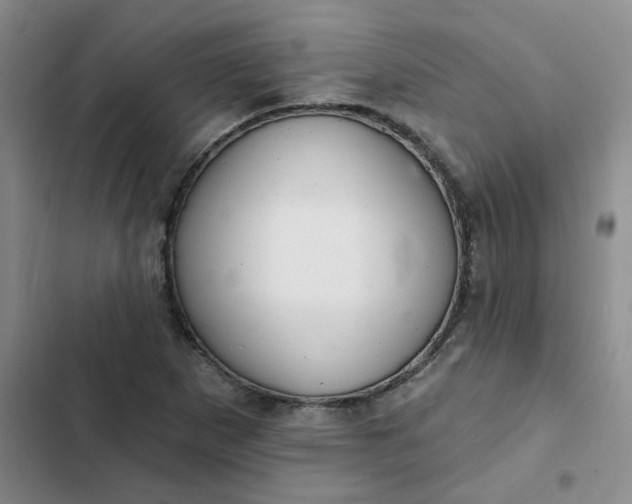 X0000102501265200808221745