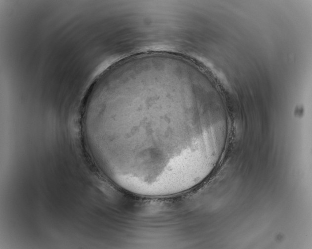 X0000102501266200808221745