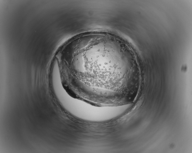 X0000102501267200808221745