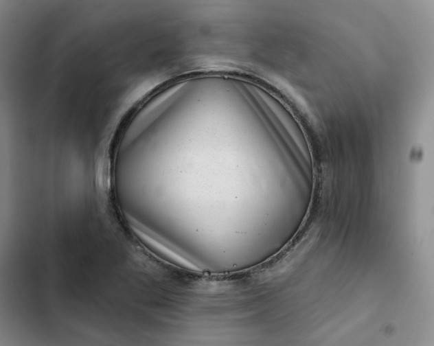 X0000102501269200808221745