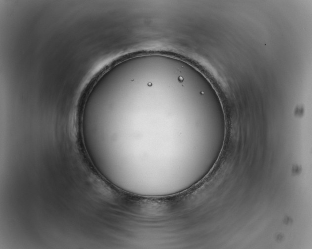 X0000102501270200808221745