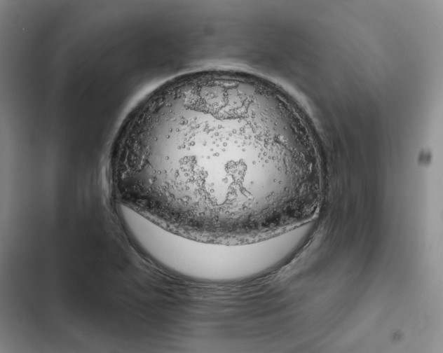 X0000102501271200808221745