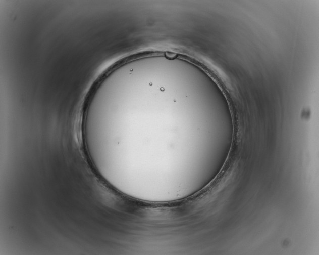 X0000102501272200808221745