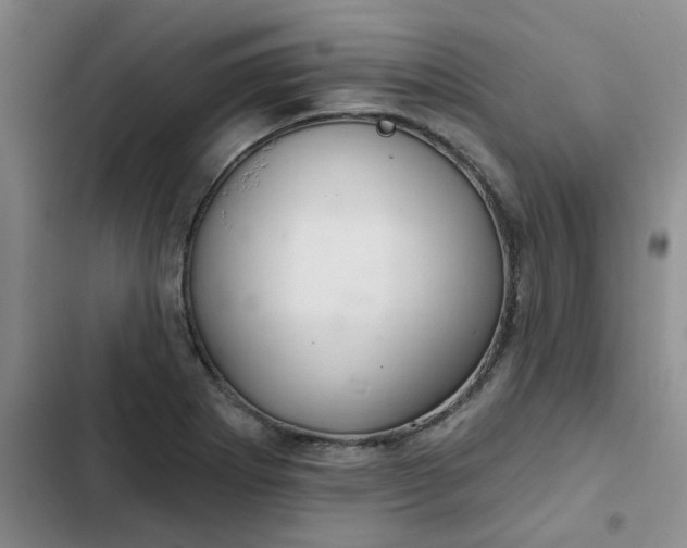 X0000102501273200808221745