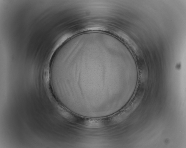 X0000102501274200808221745