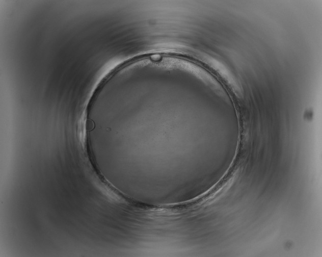 X0000102501275200808221745