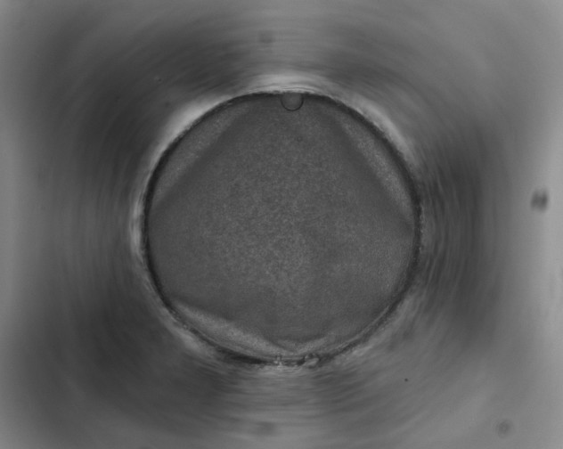 X0000102501277200808221745