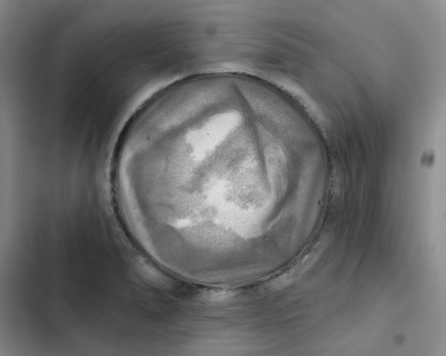 X0000102501278200808221745