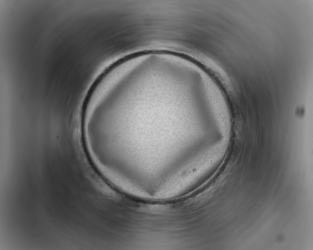 X0000102501280200808221745