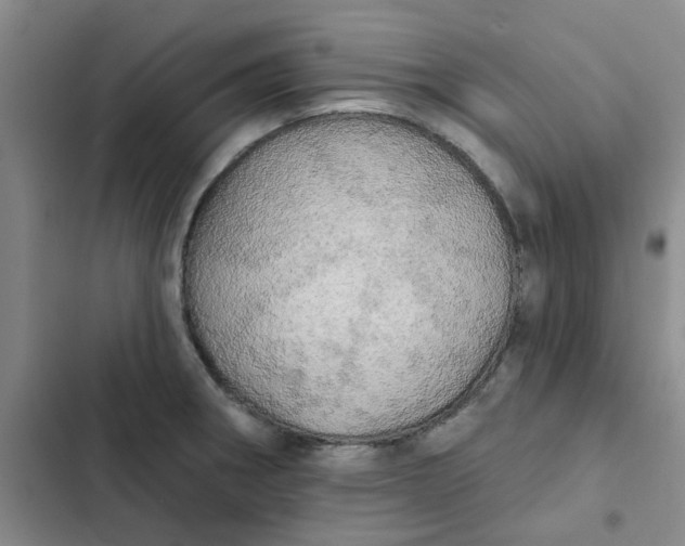 X0000102501282200808221745