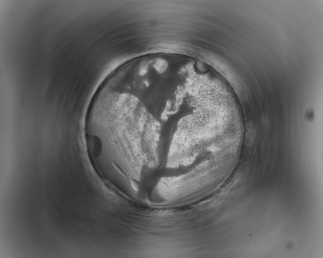 X0000102501283200808221745