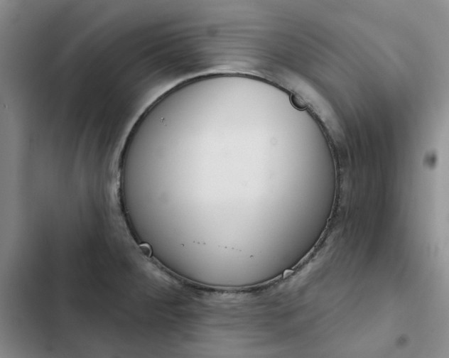 X0000102501284200808221745