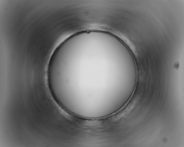 X0000102501285200808221745