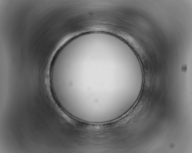 X0000102501286200808221745