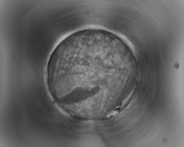 X0000102501287200808221745