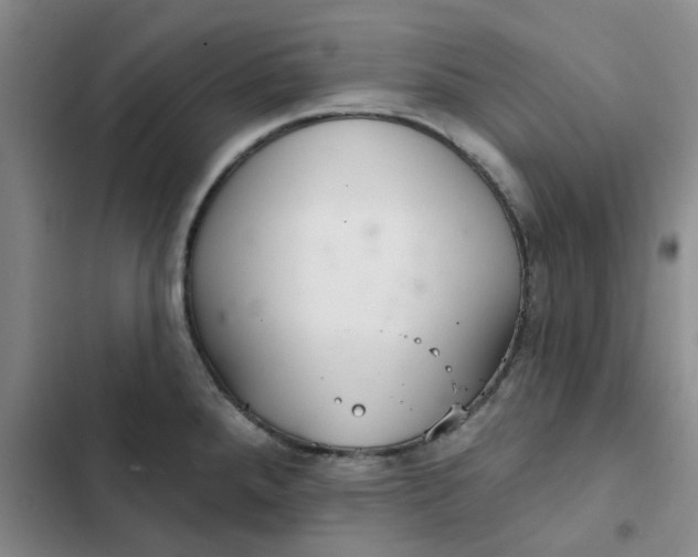 X0000102501288200808221745