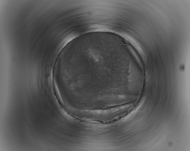 X0000102501289200808221745