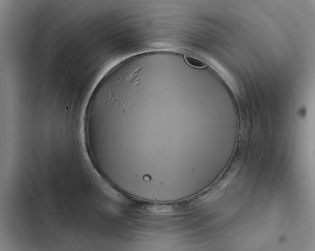 X0000102501291200808221745