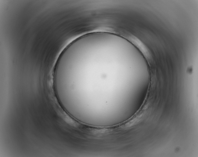 X0000102501292200808221745