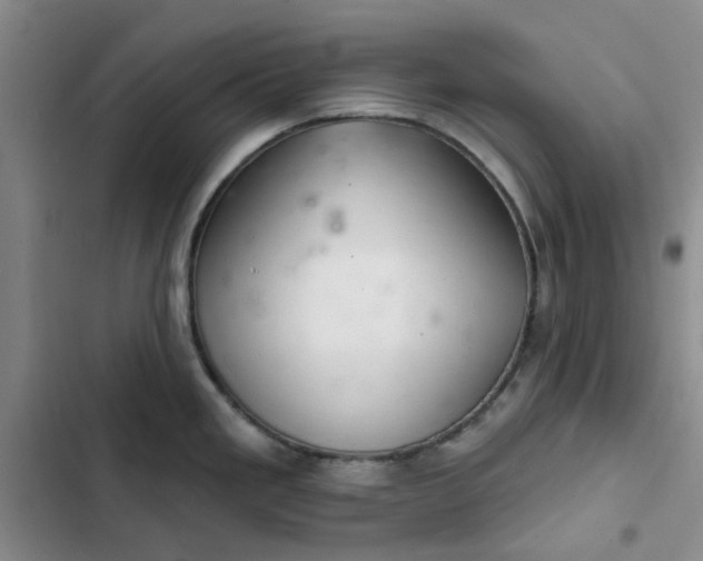 X0000102501293200808221745