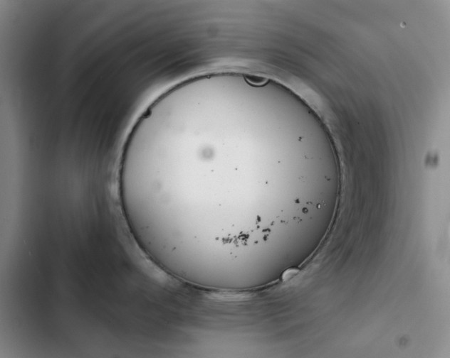 X0000102501296200808221745