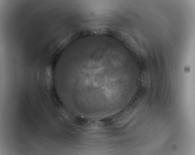 X0000102501298200808221744