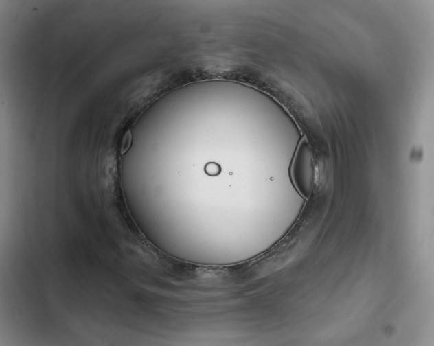 X0000102501299200808221744