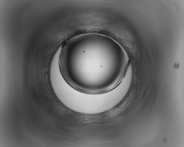 X0000102501300200808221744