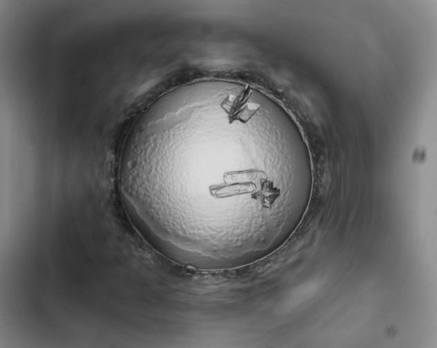 X0000102501301200808221744