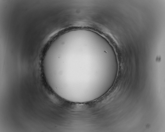 X0000102501304200808221744