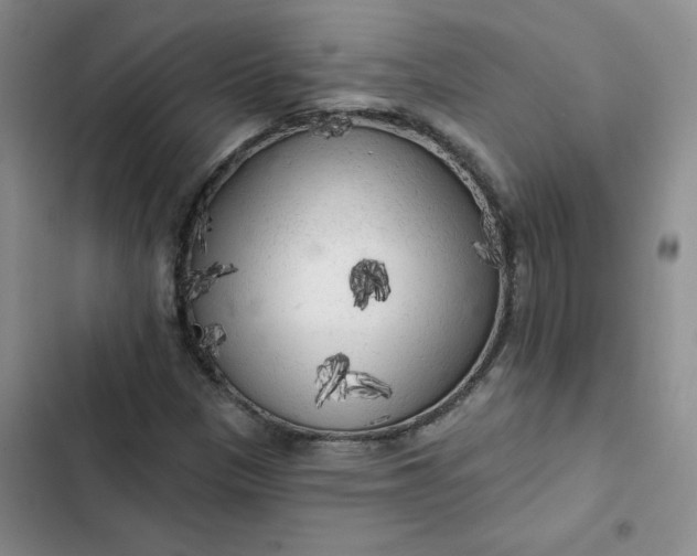 X0000102501305200808221744