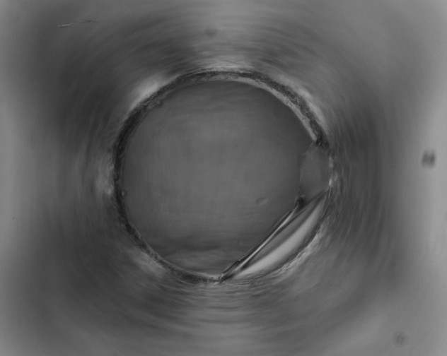 X0000102501306200808221744