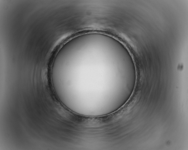 X0000102501307200808221744