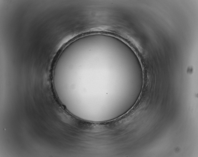 X0000102501308200808221744