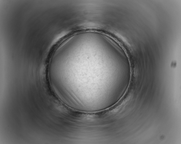 X0000102501309200808221744