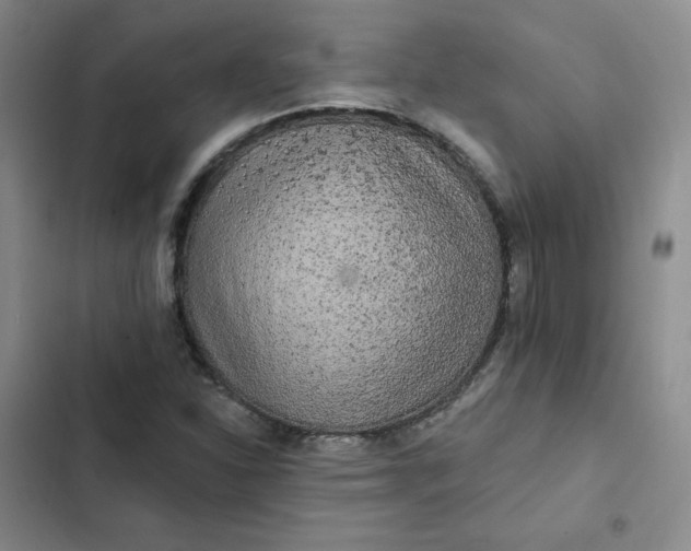 X0000102501310200808221744