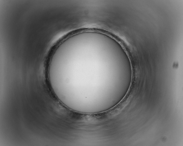 X0000102501311200808221744