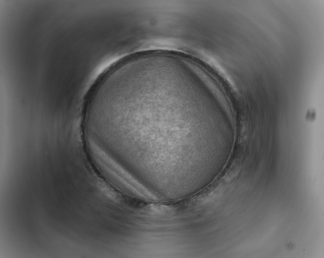 X0000102501312200808221744