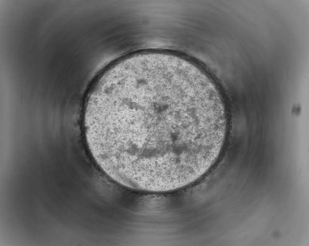 X0000102501314200808221744