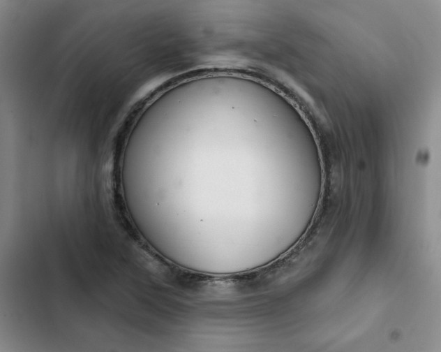 X0000102501315200808221744