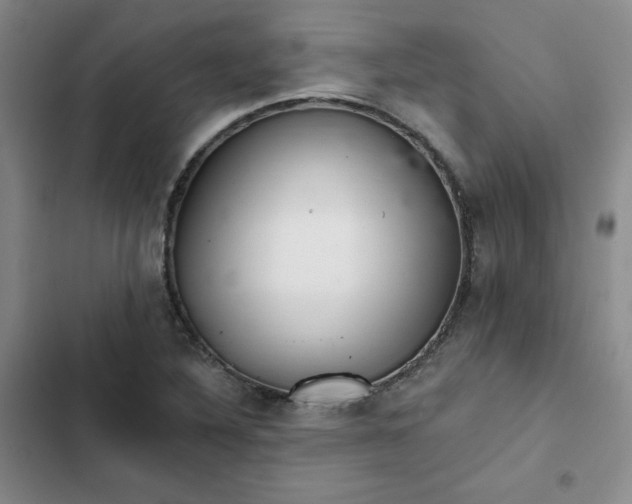 X0000102501316200808221744