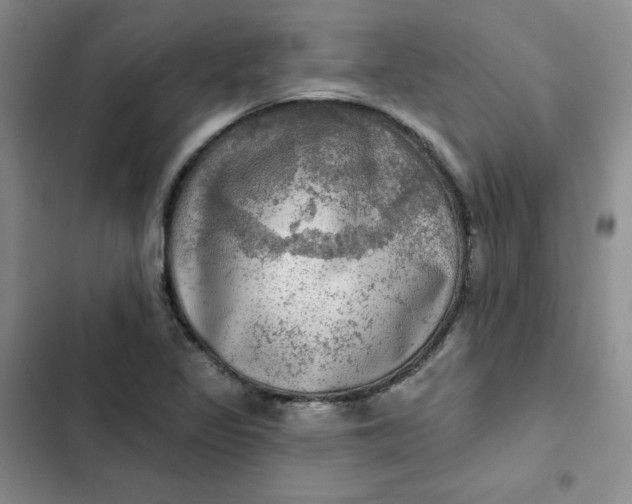 X0000102501317200808221744