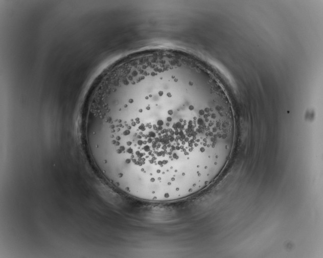 X0000102501318200808221744