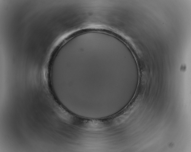 X0000102501319200808221744