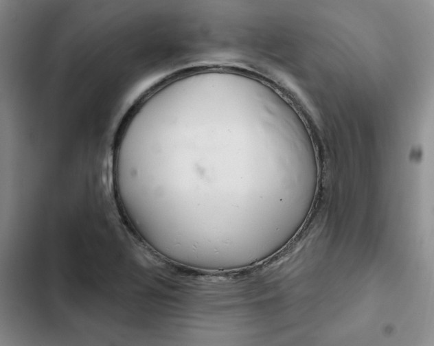 X0000102501320200808221744