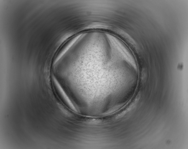 X0000102501321200808221744